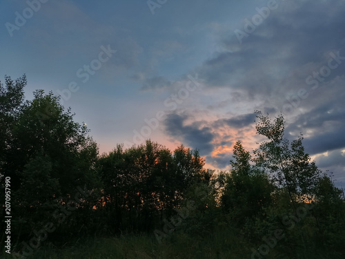 Bright colorful sunset sky in the forest under green summer field