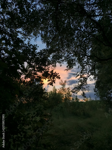 Bright colorful orange sunset sky over the river with tree branches silhouette