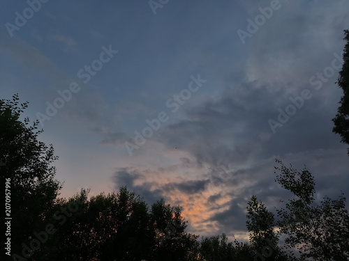 Bright colorful sunset sky in the forest under green summer field