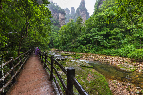 Golden Whip Stream in Zhangjiajie, China