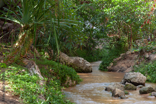 Canyon at Fairy stream, Mui Ne, VietNam,Asia