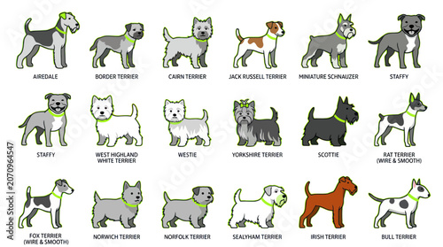 Slika na platnu Dogs Breed Illustrations in Row.