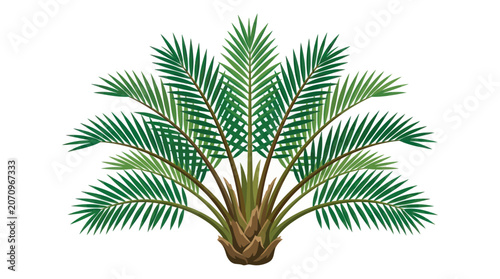 Konstfotografi Isolated Green Palm Tree Illustration on White Background