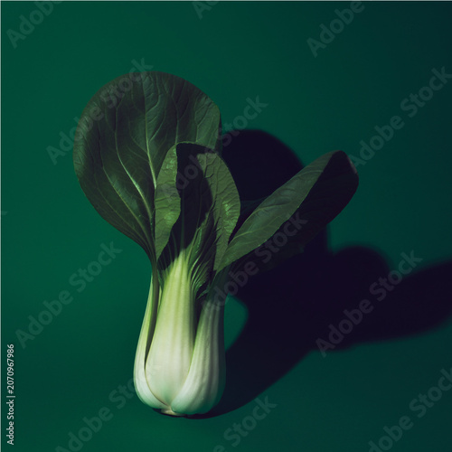 Fresh whole bok choy on deep green background