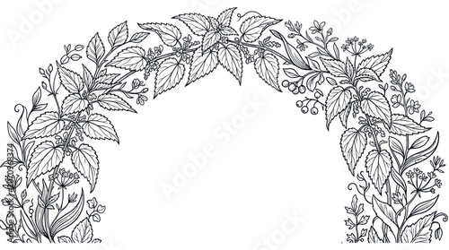 Fényképezés Botanical stinging nettle and herb arch frame line art
