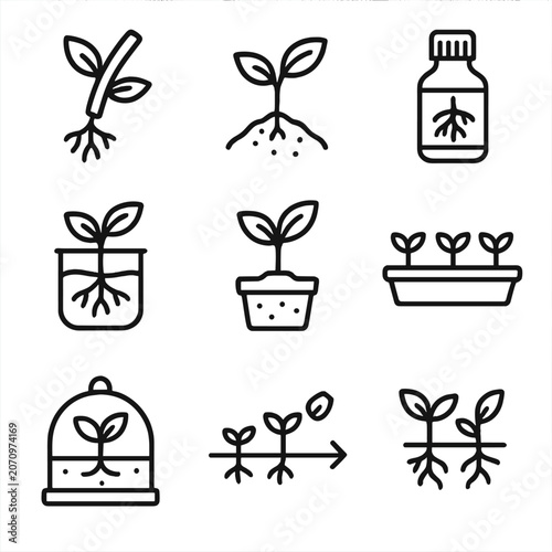 Seedling propagation plant root soil vector hormone icon icons tray growth