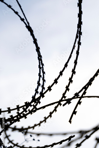 Abstract Barbed Wire Fence with Shallow Depth of Field