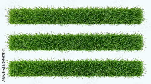 set of green grass silhouettes isolated on white background. Natural, eco