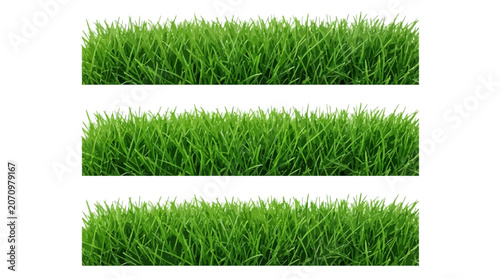 set of green grass silhouettes isolated on white background. Natural, eco