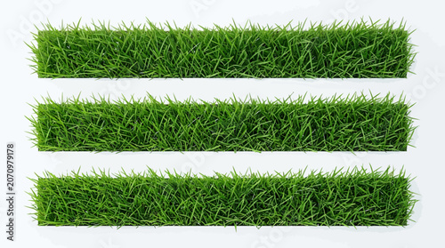 set of green grass silhouettes isolated on white background. Natural, eco