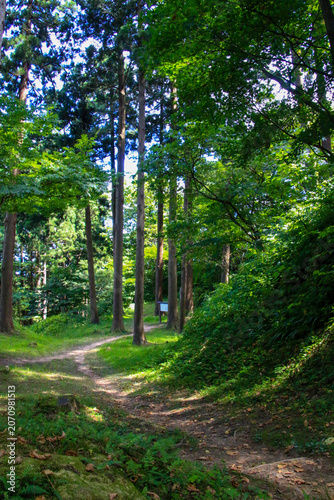 春日山城跡