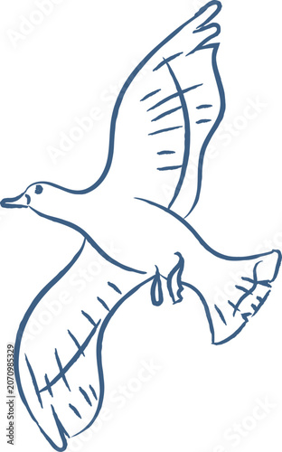 Fotografie Seagull Soaring Hand Drawn Sketch