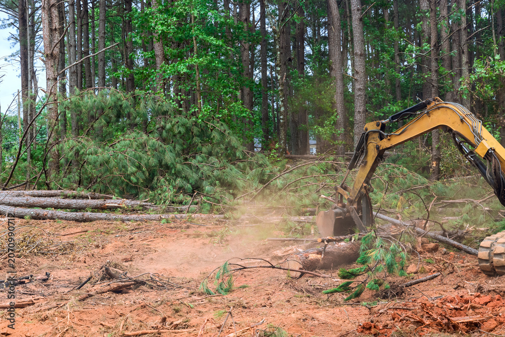 Fototapeta premium Workers use machinery to cut down trees in forested area for land development during deforestation