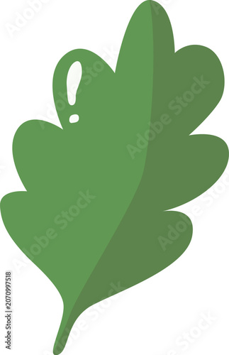 Green Lettuce Leaf Vegetable