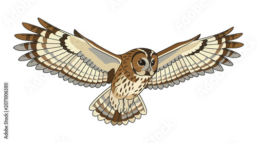 Obraz na plátně Realistic brown owl flying with wide wingspan.