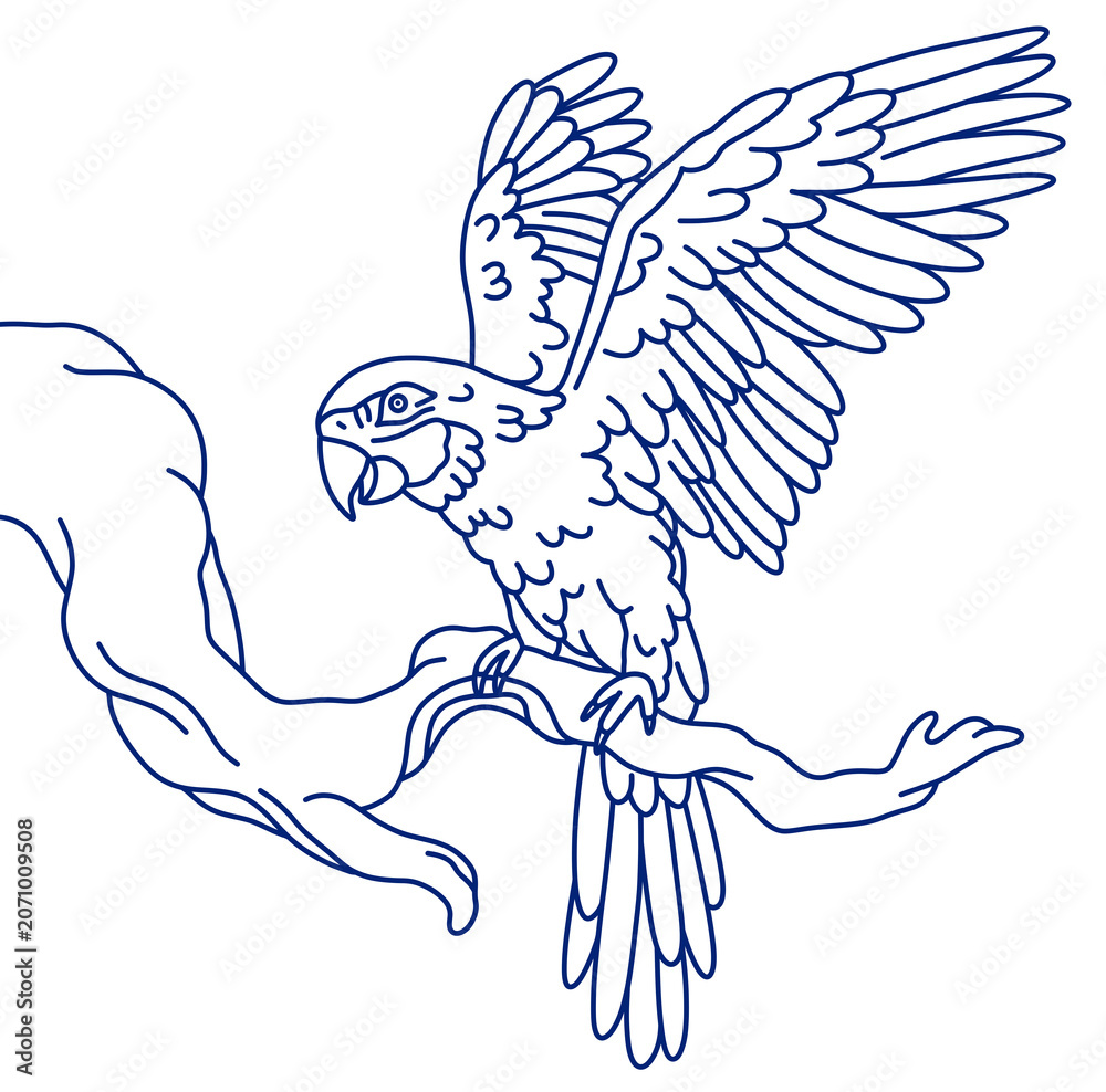 Fototapeta premium Line sketch illustration of a macaw flying and perched on a tree branch
