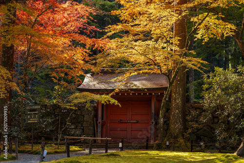 Foto 日本の風景・秋　京都　大原　紅葉の三千院　朱雀門