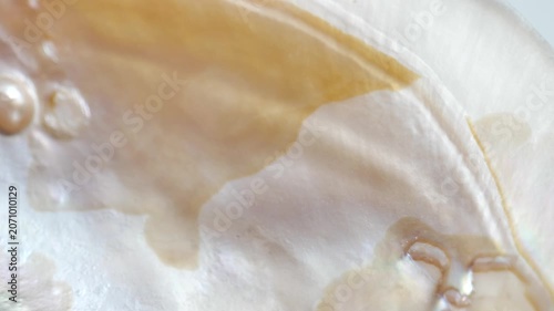 Iridescent mother of pearl texture. nacre background in pastel tones. soft beige tones and organic pattern. 4k footage