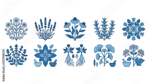 Fotografía Blue botanical herbal medicine collection with apothecary icons