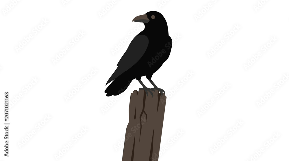 Fototapeta premium A solitary black crow perched on a weathered wooden post against a white background