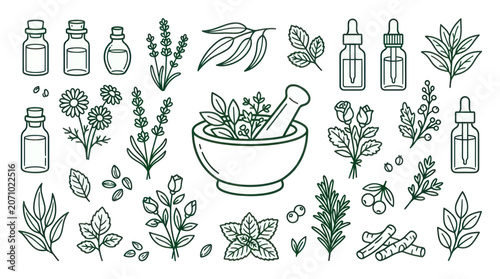 Essential oil bottles and medicinal herbs with mortar and pestle