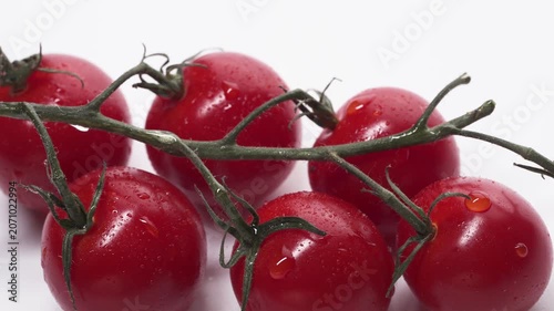 Close-up of Fresh Tomatoes on Vine
