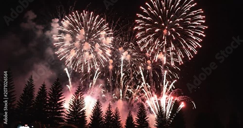 Red and white fireworks exploding in the night sky over pine trees.