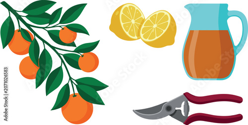 Freshly squeezed orange juice with lemons and pruning shears on branch
