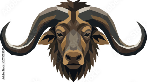 Photos Bison Head with Large Horns Portrait.