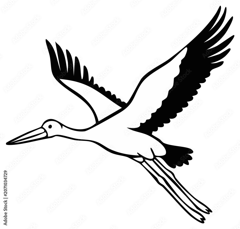 Fototapeta premium Black and White Illustration of a Stork in Flight with Open Wings