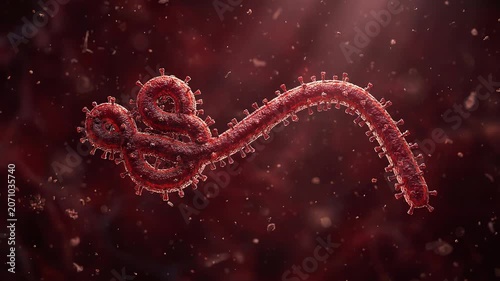 A captivating microscopic rendering of the Ebola filovirus, illustrating its distinct filamentous shape, twisting and looping in an elegant biological structure
