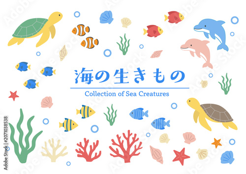 Quadro su tela 海の生き物アイコンセット　イラスト　フラットデザインのかわいい海洋生物イラストセット
コレクション