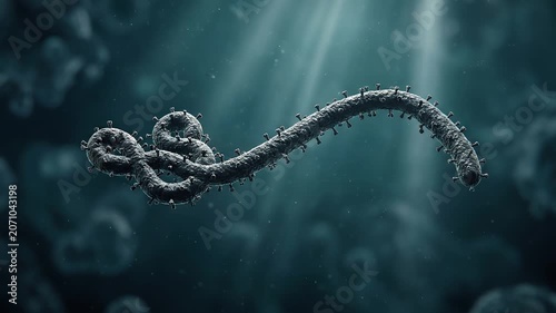 3D render of a giant Ebola filovirus filament slowly emerging from deep darkness as a glowing microscopic pathogen structure