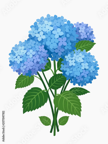 Bunch of Blue Hydrangea Flowers with Green Leaves Isolated on White Background