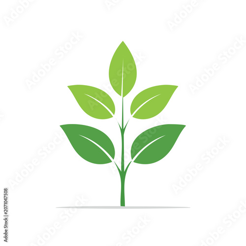Green plant with leaves vector illustration