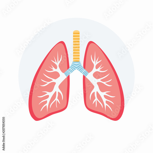 Flat design illustration of human lungs and trachea