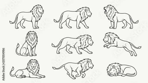Photography Lion Poses Collection: Line Art Illustrations of Majestic Big Cats