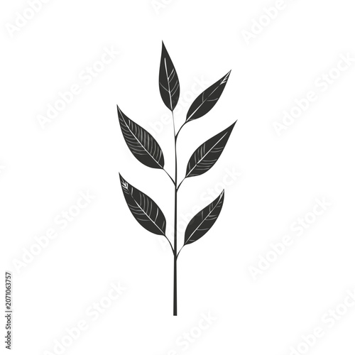 Minimalist black leaf branch vector illustration