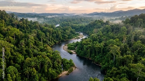 Lush Tropical Rainforest River Landscape with Mist and Mountains
