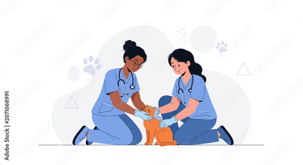 Obraz premium Veterinarians Examining Orange Cat with Stethoscopes - Vector Illustration