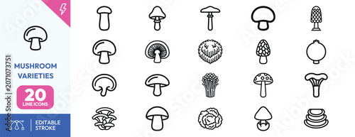 Canvastavla Fungal Forms icon set