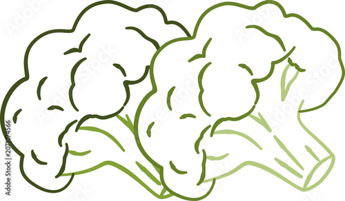 Foto Vector Broccoli Outline Illustration