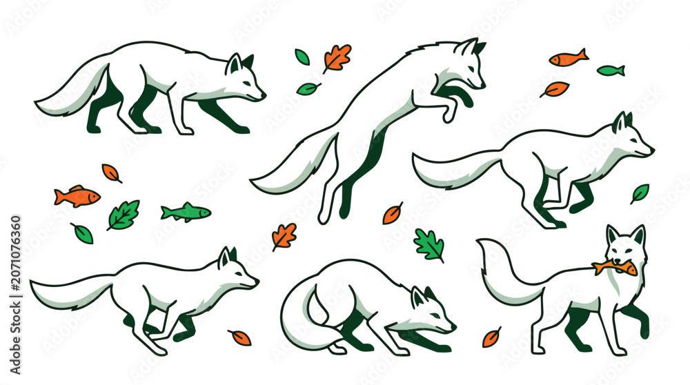 Fototapeta premium Arctic fox hunting poses in minimalist flat vector illustration set for childrens educational publishing