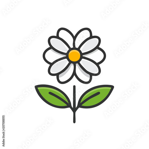 Flat illustration of a daisy flower with green leaves