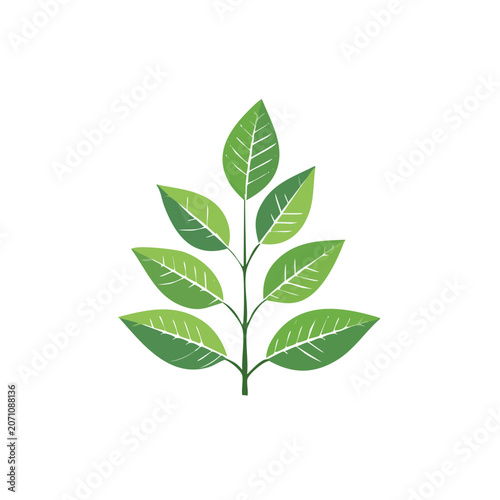 Green Leaf Branch Vector Illustration