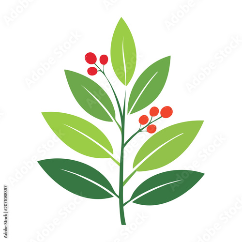 Holly branch with red berries vector illustration