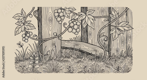 Foto Vintage illustration of grapes growing on a wooden fence.