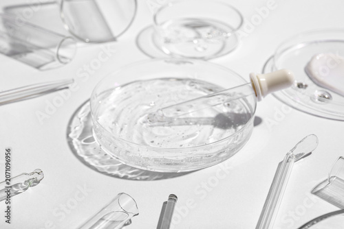 Petri dishes with different...