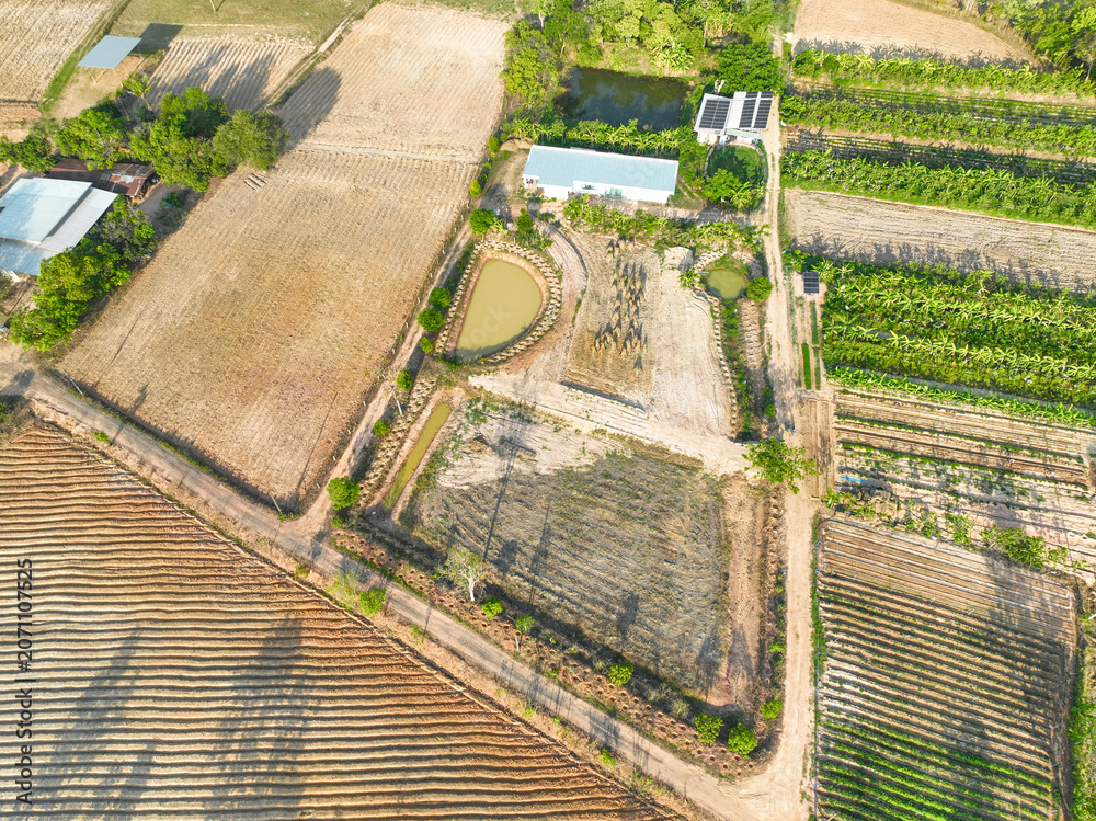 Naklejka premium Sustainable farmland with irrigation ponds, vegetable plots, banana cultivation, and farmhouse buildings in a rural countryside. Agricultural production. Land management. Sustainable agriculture.
