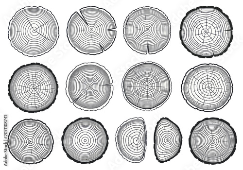 фотографія Set of various tree rings and wood cuts showing annual growth patterns
